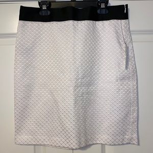 NEW Worthington Skirt